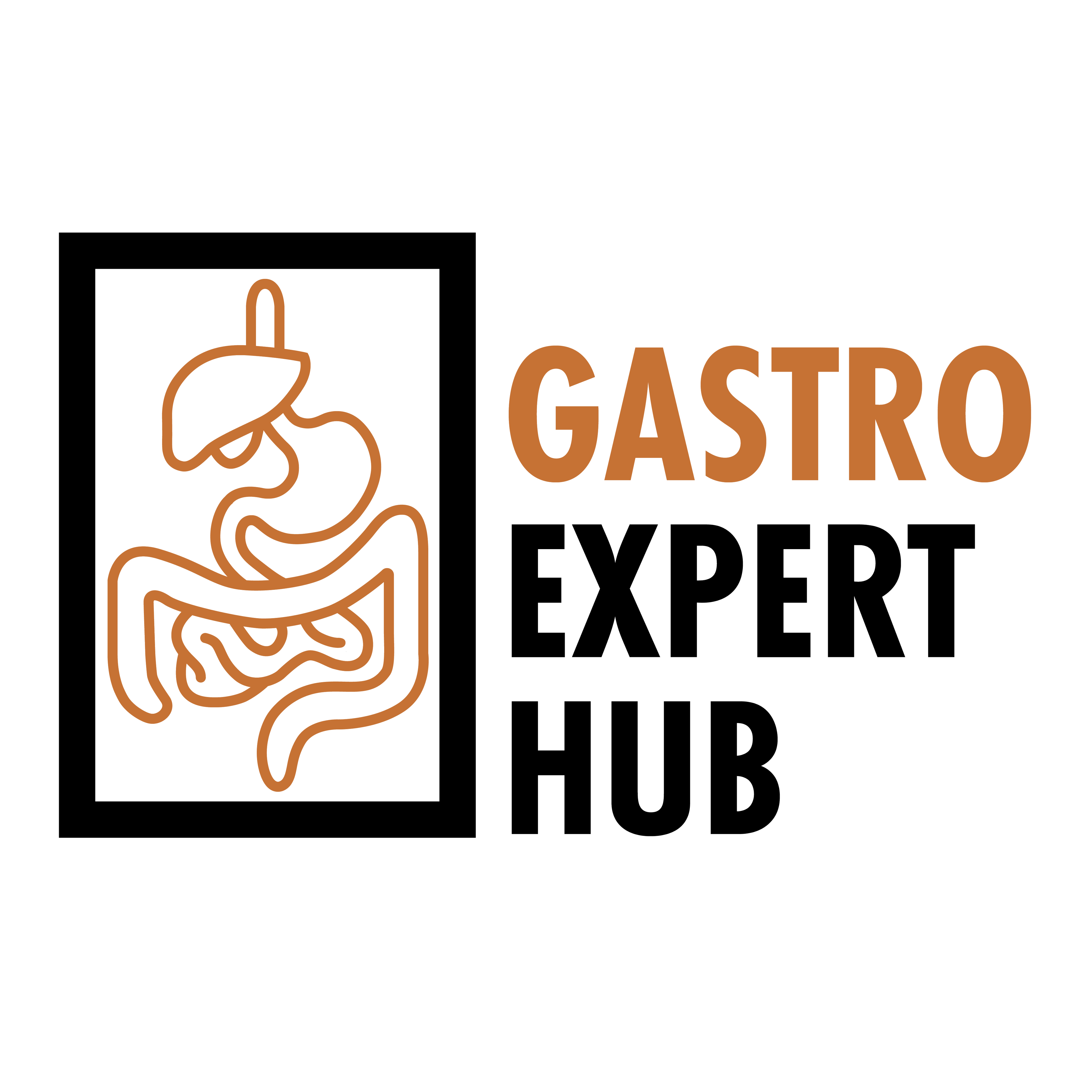 GastroExpertHub