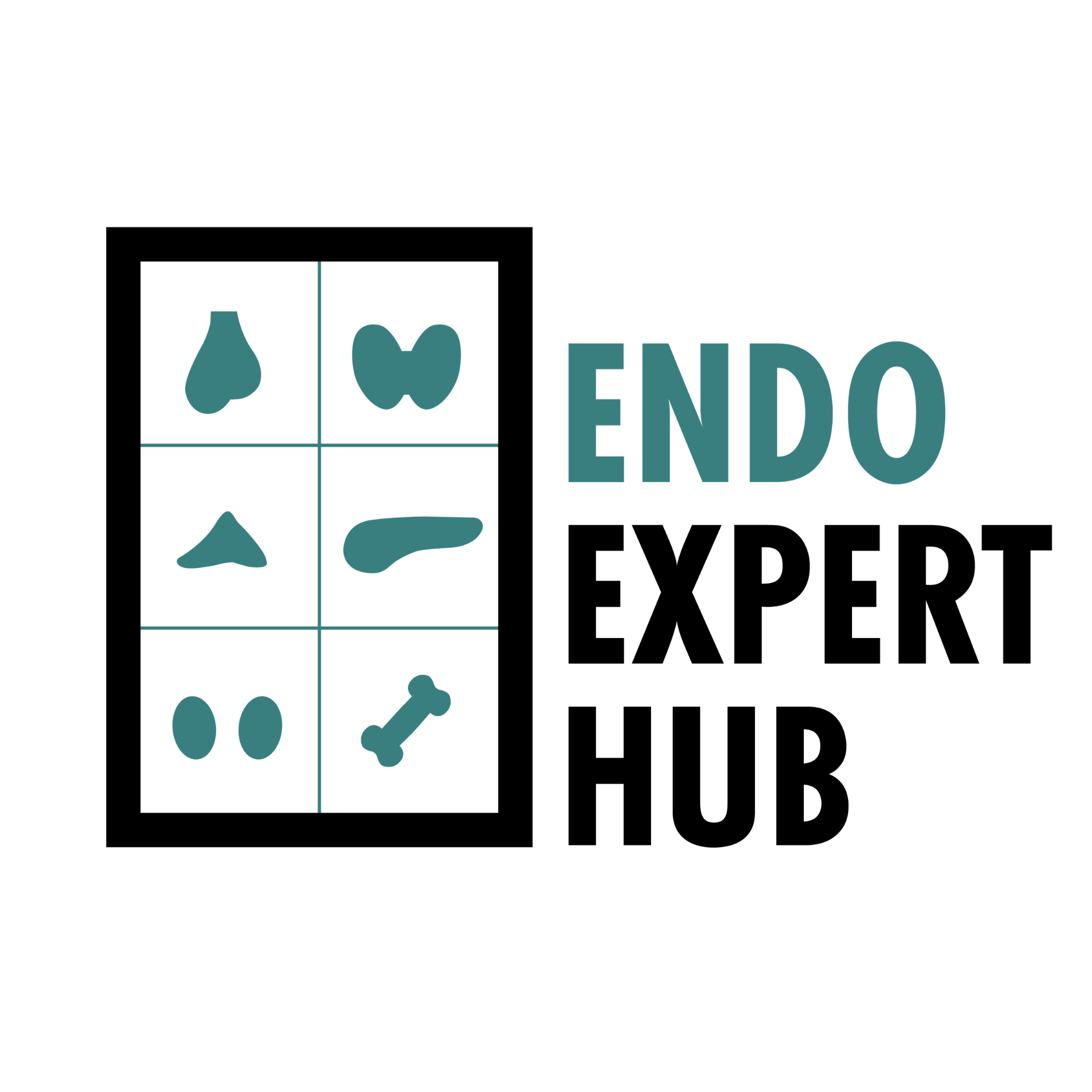 EndoExpertHub