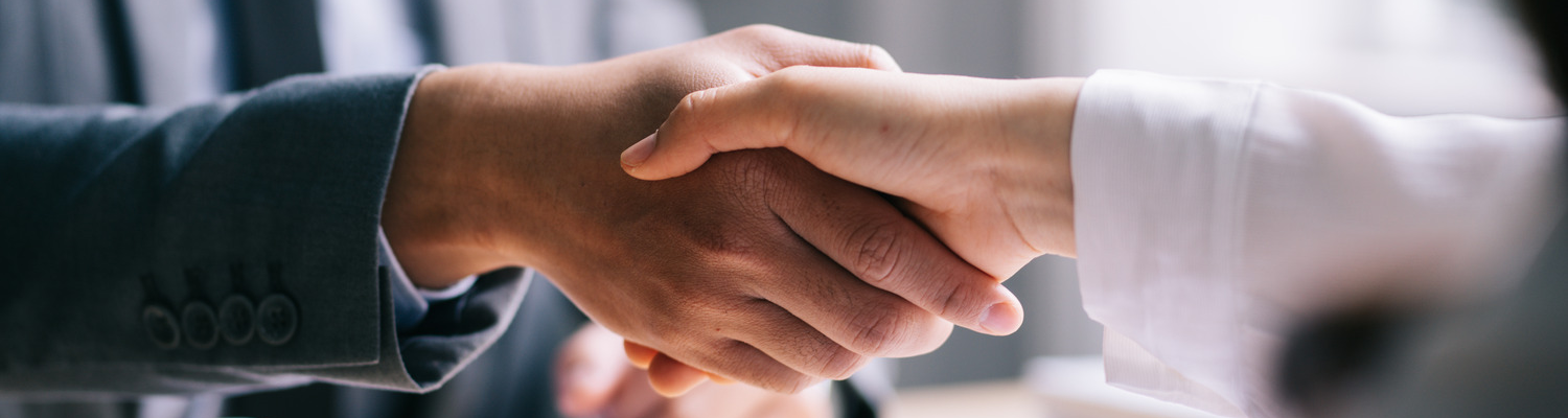 Professional Partnership Handshake